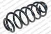 VAUXH 424441 Coil Spring